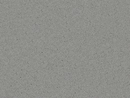 Gui_Gris Toledo