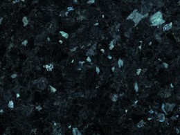 Labrador Oscuro