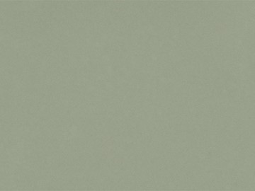 Posidonia Green Suede